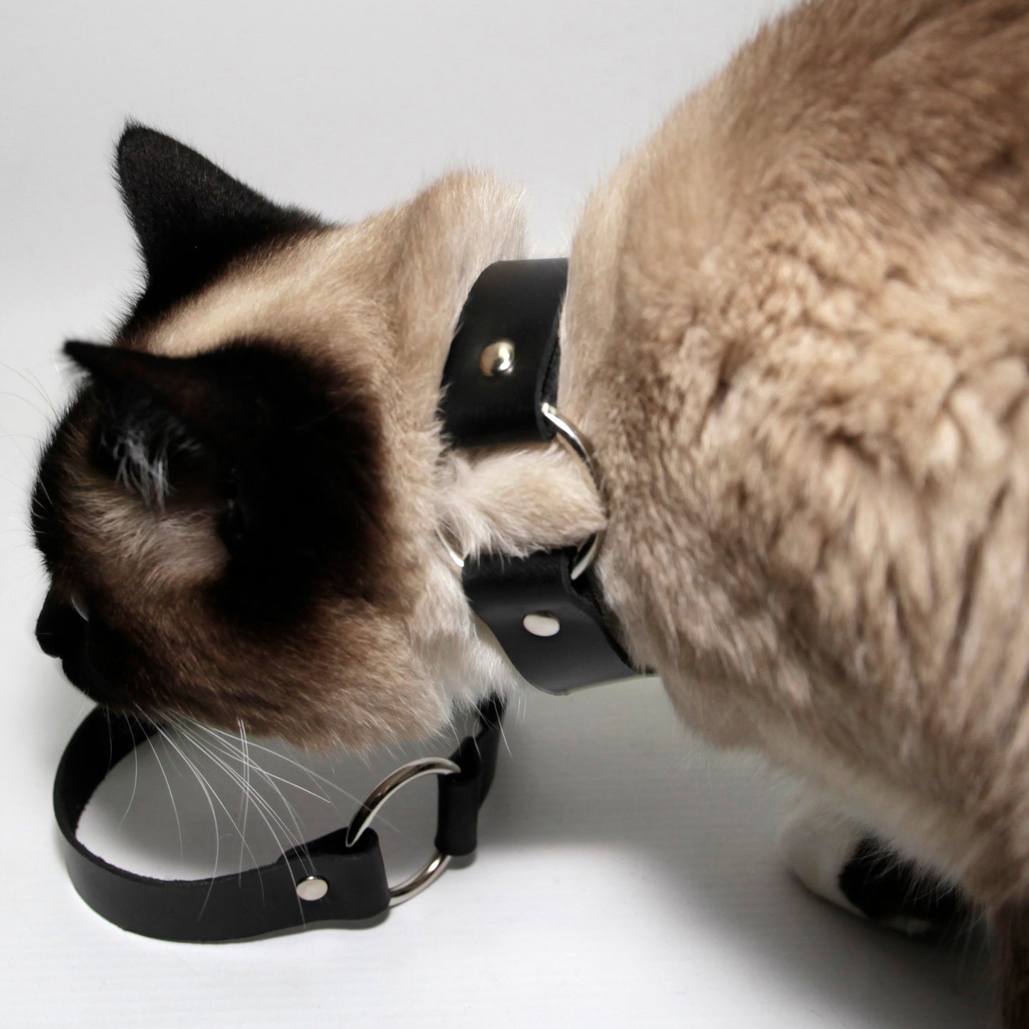 Leather Choker